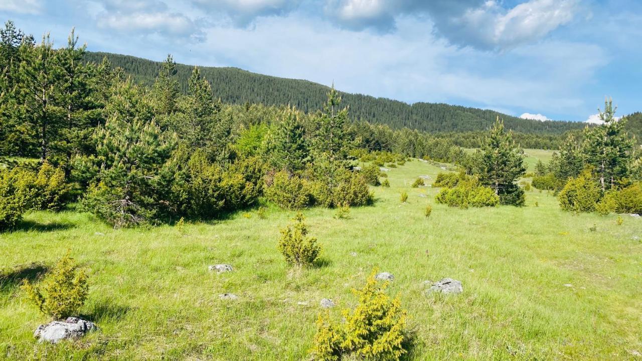 Eco Village Pavlovic Žabljak Buitenkant foto
